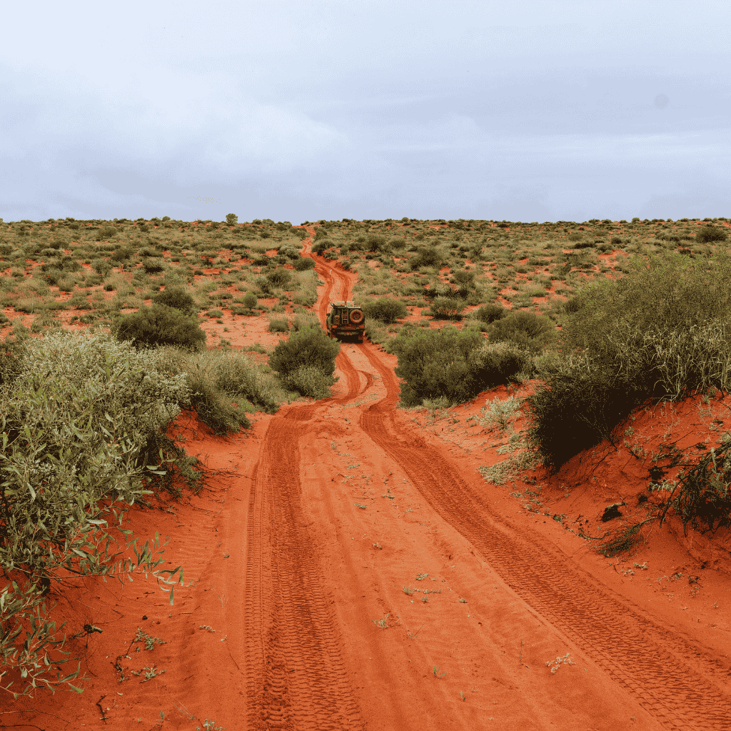 Column metafield image
